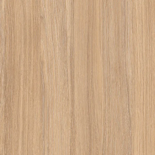 Дуб медовый